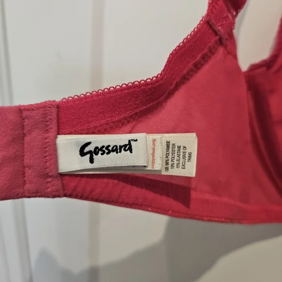 Sheer Red Coral Bra - Picture 5 of 8